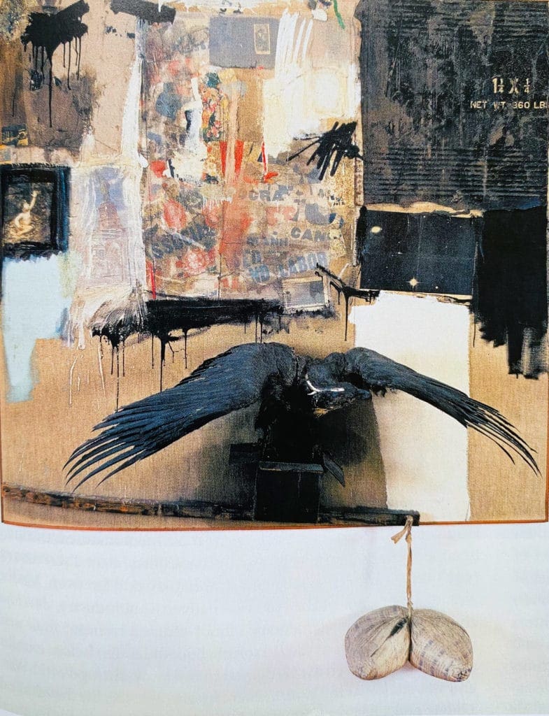Canyon by Robert Rauschenberg